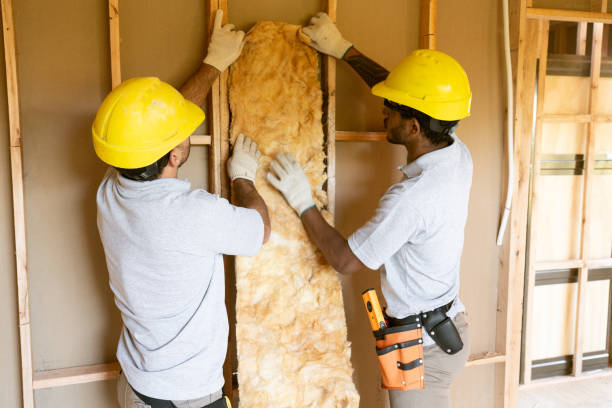 Best Blown-In Insulation  in Pataskala, OH